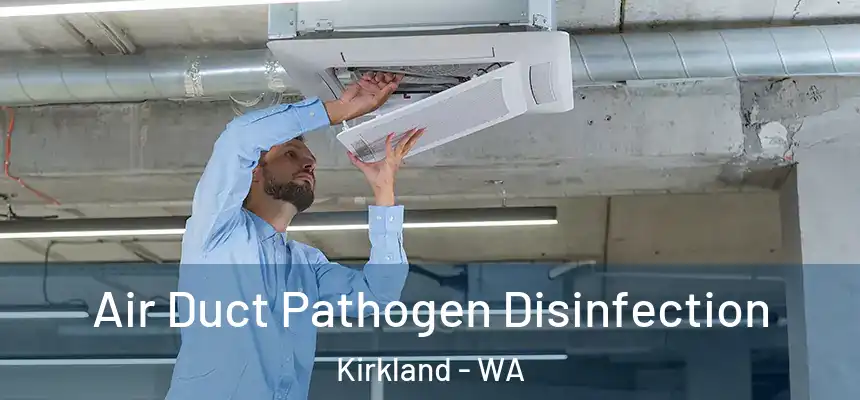 Air Duct Pathogen Disinfection Kirkland - WA
