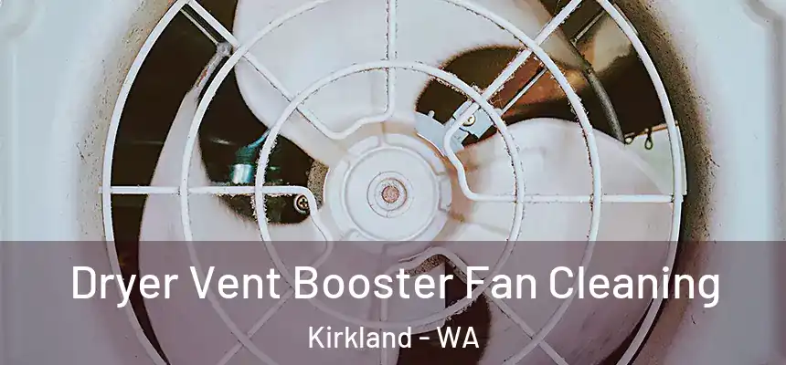 Dryer Vent Booster Fan Cleaning Kirkland - WA