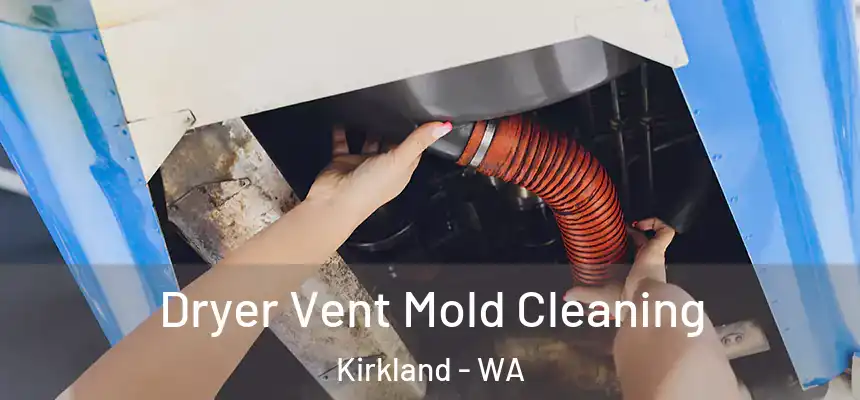  Dryer Vent Mold Cleaning Kirkland - WA