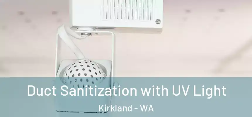  Duct Sanitization with UV Light Kirkland - WA