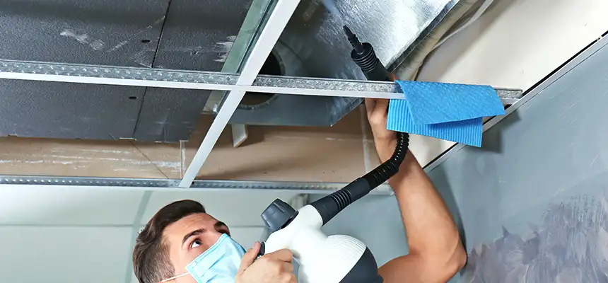 Our Air Duct Rodent Removal Services in Kirkland, WA