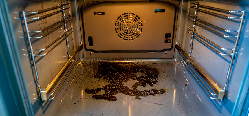 Our Air Purifier Installation Services in Kirkland, WA