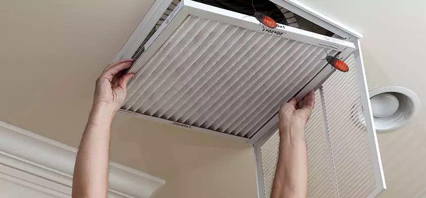 Our Insect Removal from Air Ducts Services in Kirkland, WA