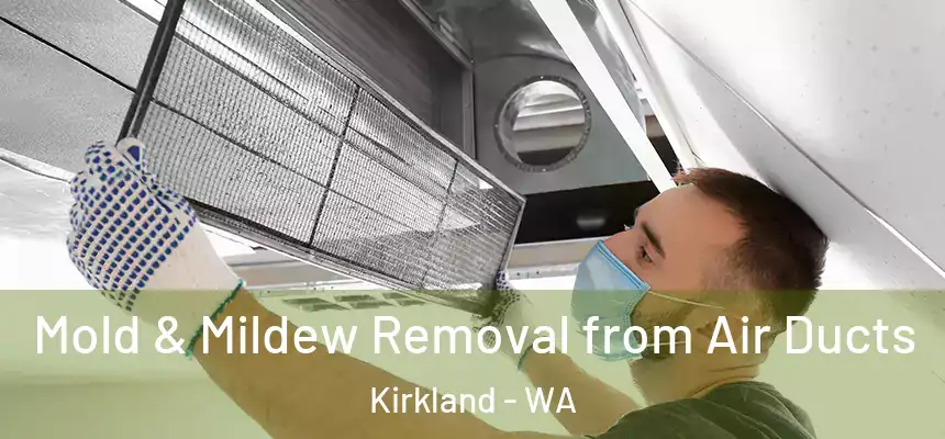  Mold & Mildew Removal from Air Ducts Kirkland - WA