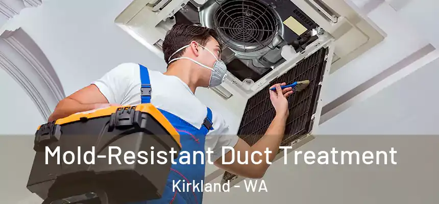  Mold-Resistant Duct Treatment Kirkland - WA