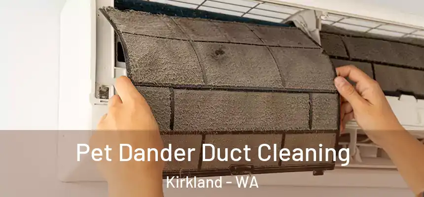  Pet Dander Duct Cleaning Kirkland - WA