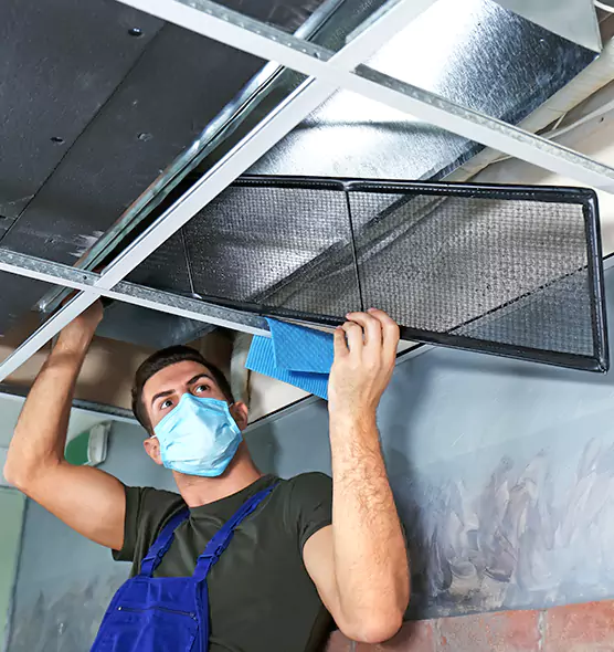 About Air Duct Bacteria Removal in Kirkland