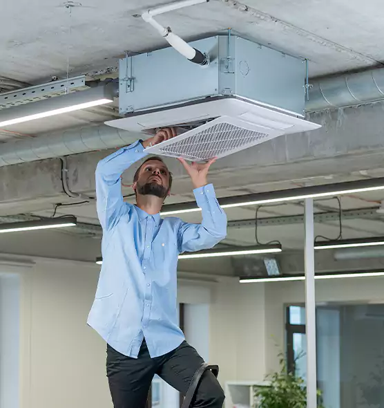 Advanced Rodent Droppings In Vents in Kirkland, WA