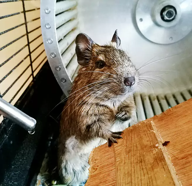 Why Homeowners & Businesses Trust Us Kirkland, WA