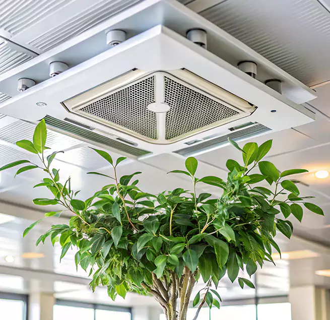 Why Homeowners & Businesses Trust Us in Kirkland, WA?