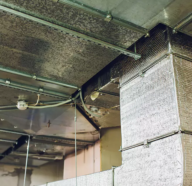 Why Homeowners & Businesses Trust Us in Kirkland, WA?