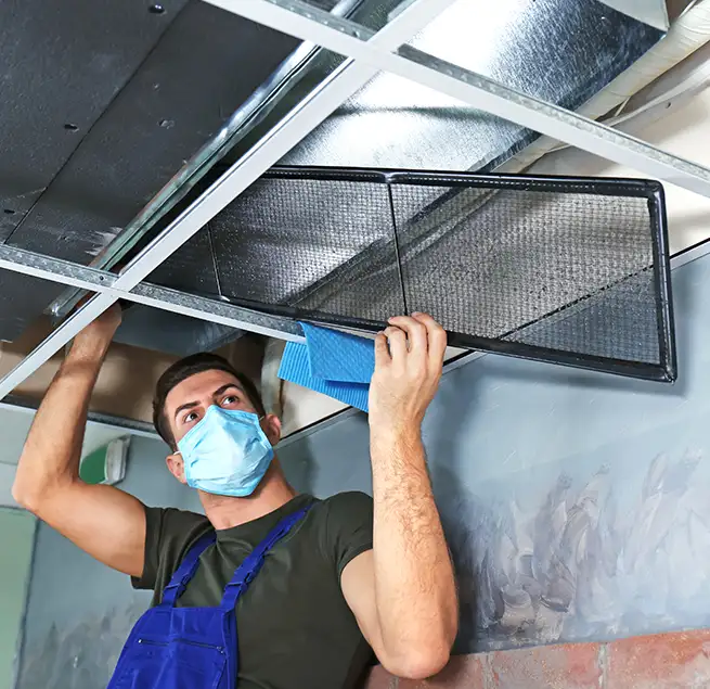 Why Homeowners & Businesses Trust Us in Kirkland, WA?