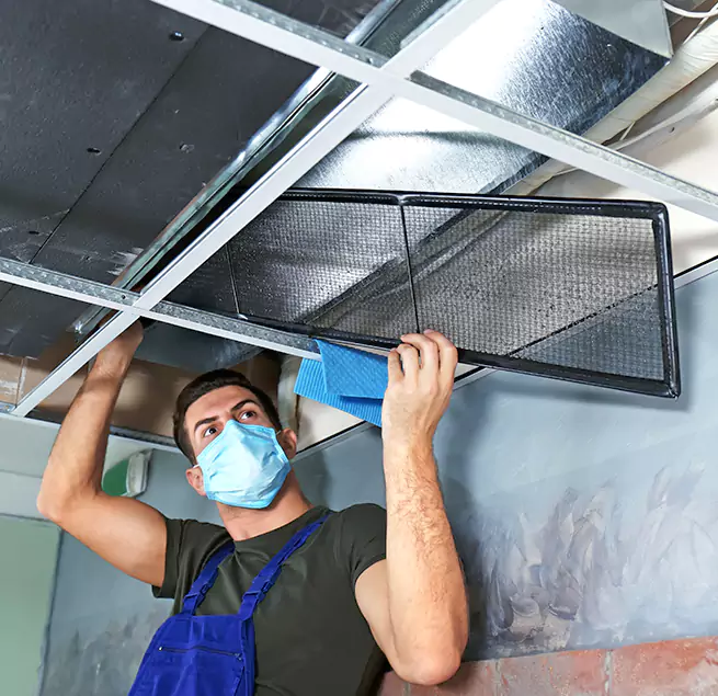 Why Homeowners & Businesses Trust Us in Kirkland, WA?